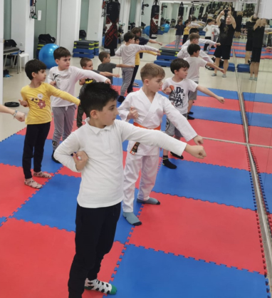 karate-kyokushin.png (221 KB)